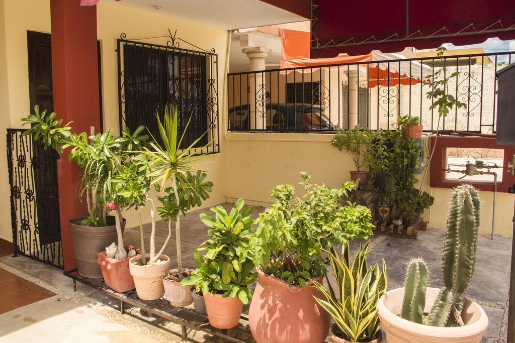 La Casa Del Chac Villa Mérida Exterior foto