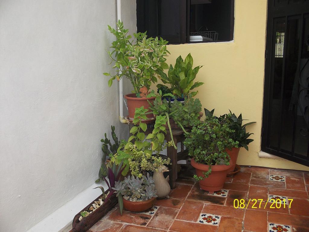 La Casa Del Chac Villa Mérida Exterior foto